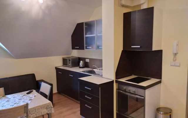 BOROVETS Royal Plaza - A405