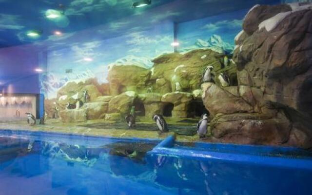 Big White Whale Ocean Exploration World