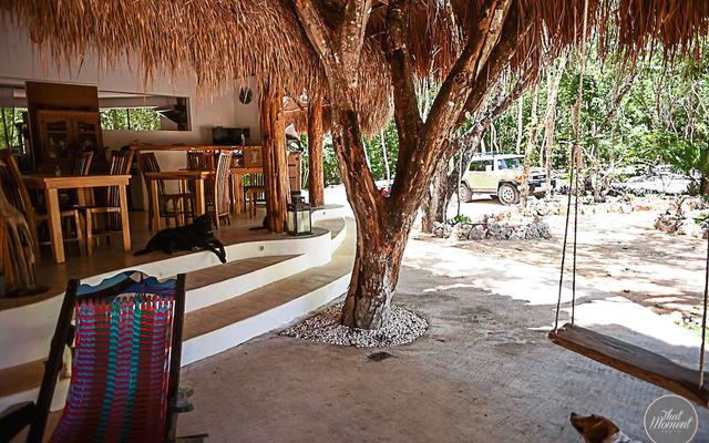 Villa Morena Ecoliving