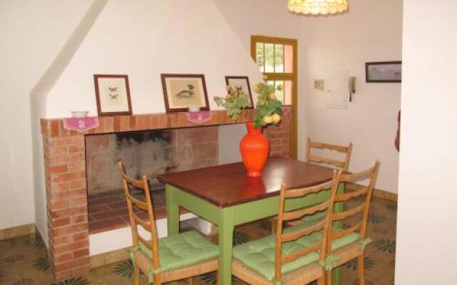 Conte Francesco I 231S