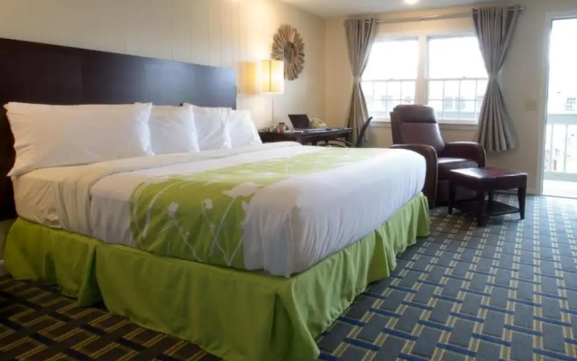 Freebird Motor Lodge by Reverie Boutique Collection