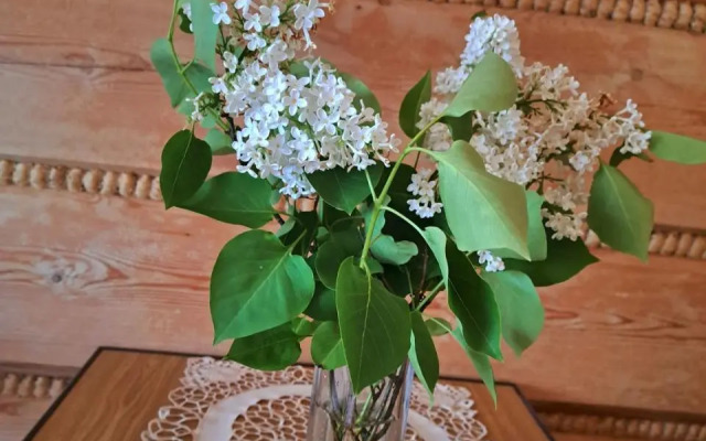 Willa Pod Jesionem