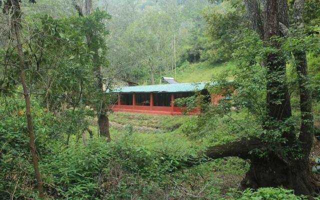 Secret Valley Jungle Resort