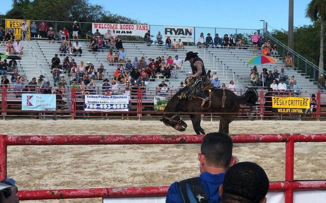 Lovely Wonderlux House 5BR by FL Keys MIA Marina