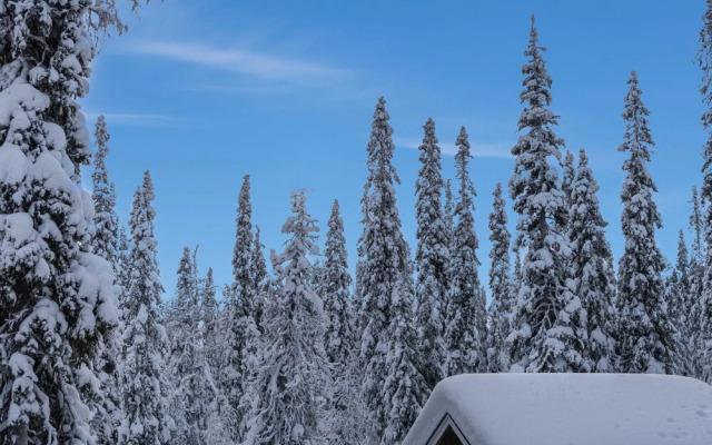 Holiday Home Vuosselinranta b