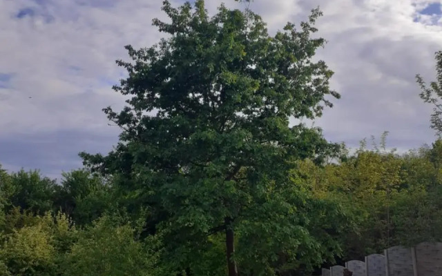 Pensiunea Scorilo
