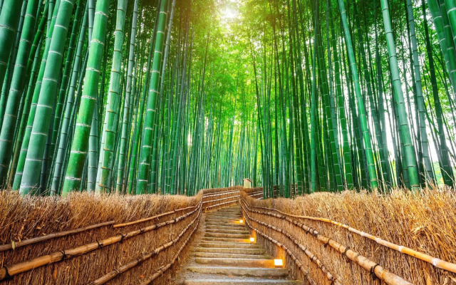Hotel La Siesta Kyoto - Adult Only