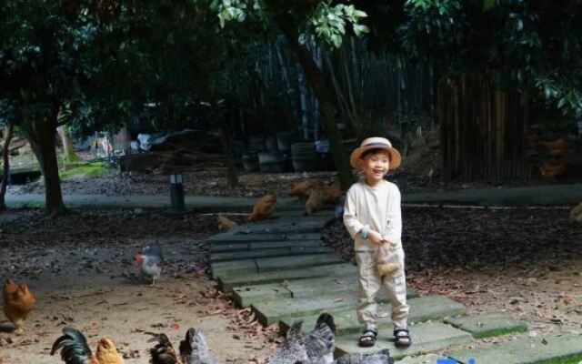 Deng Stone House Pastoral Resort