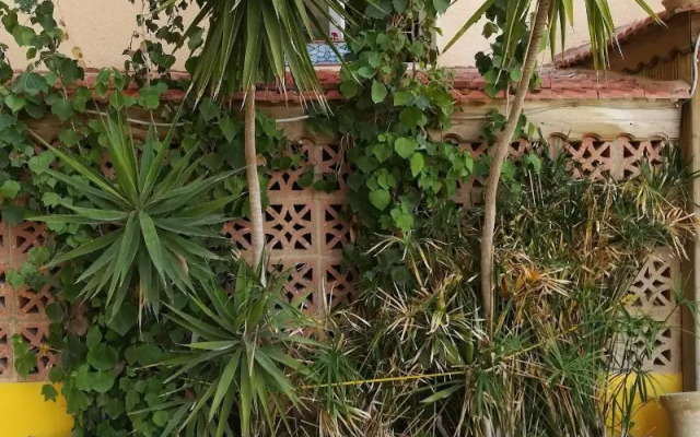 Mariam Hotel