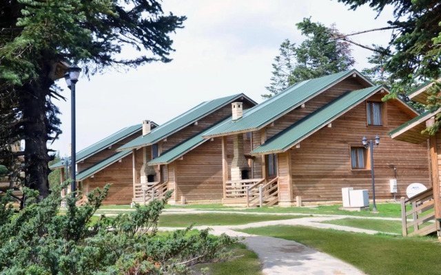 Uludag Orman Koskleri