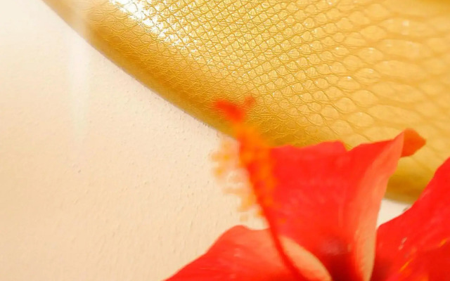 Etoile Labrine Guest House