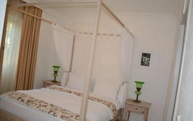 Berg Villa
