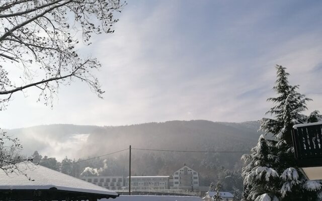 Boutique hotel Pohorje