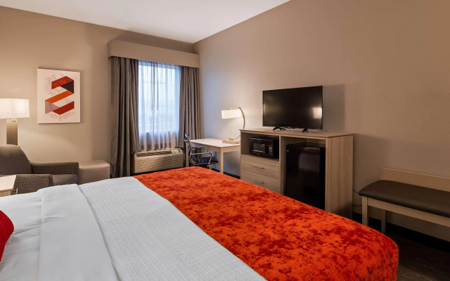 Best Western Plus New Cumberland Inn & Suites