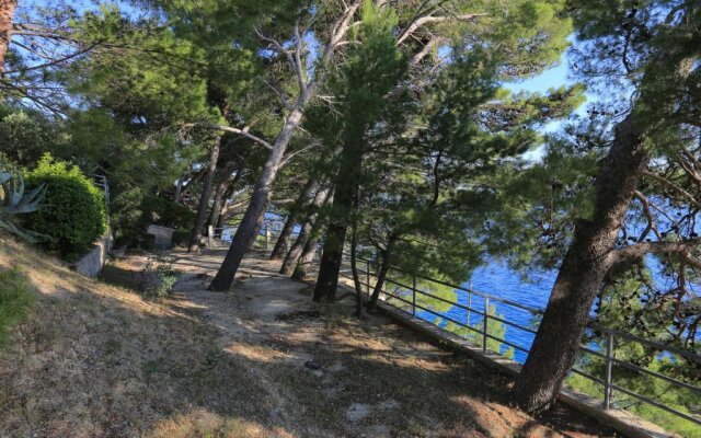 Apartments by the sea Brela, Makarska - 18814