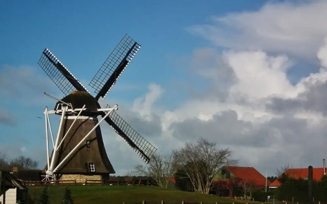 Wonderful and Spacious Apartment