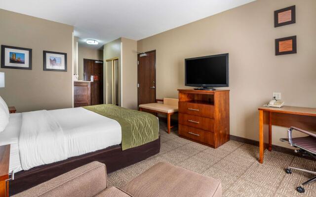 Comfort Inn & Suites Sacramento - University Area