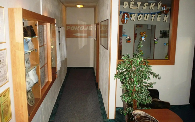 Pension Schaumannuv Dvur