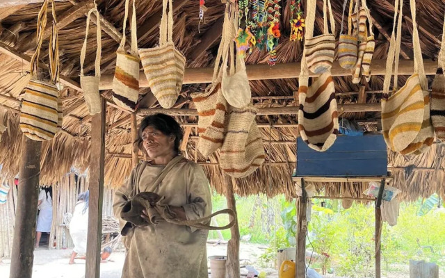 Tree of Life - Hostel