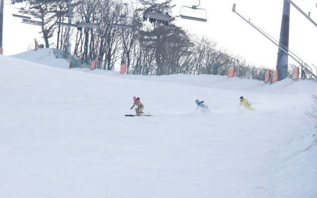 Pyeongchang Forest Hotel