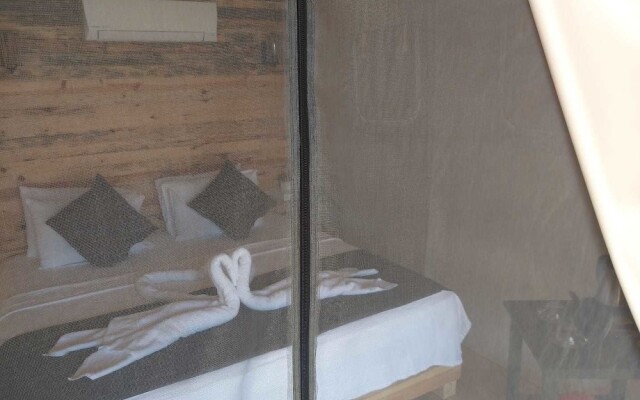 Green Pine Beach & Bungalows Luxury Concept