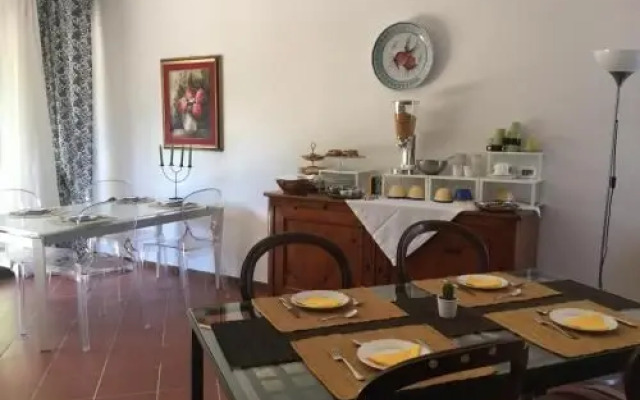 BB Casa Tomato