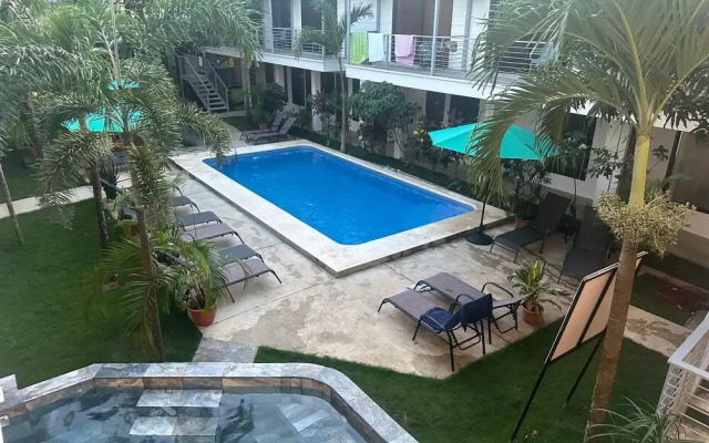 Wide Mouth Frog At Quepos