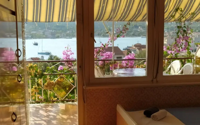Green Paradise With Magnificent View
