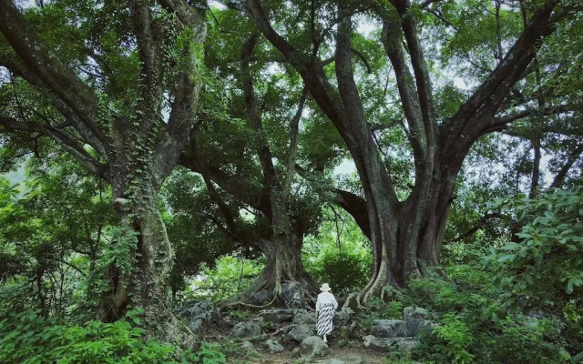 Zhensu Canyon Sanctuary