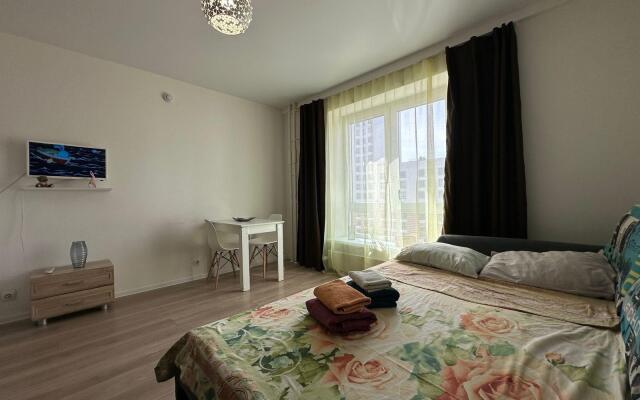 Apartments On Ryabinovaya Street