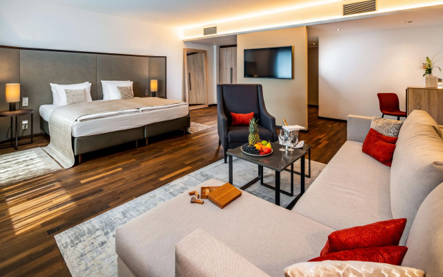 Park Plaza Trier
