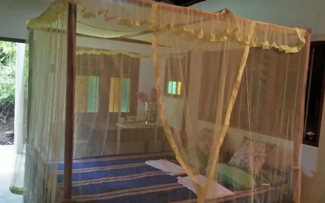 The Jungle House