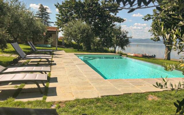 La Folaga del Trasimeno