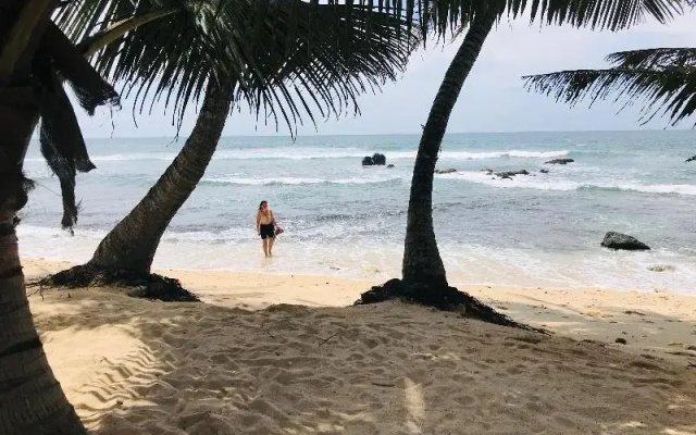Surfescape Sri Lanka