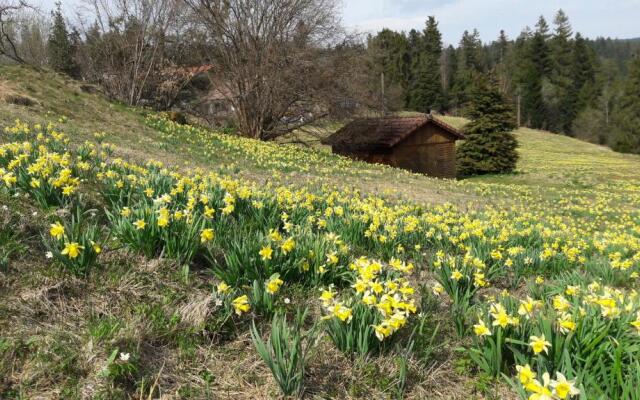 B&B Chalet lEpinette