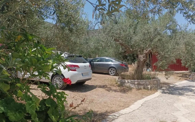 Studios Zaritsi