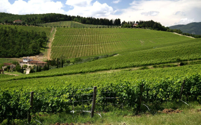 Podere Vignola