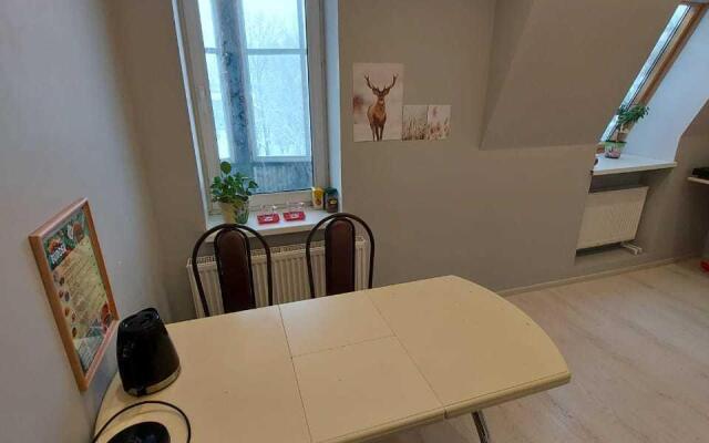 Апартаменты Турист на улице Оплеснина 13