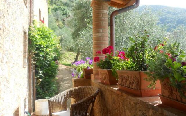 Antica Vigna