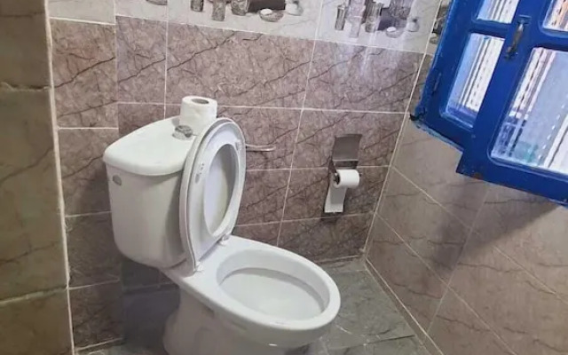 hostel aline