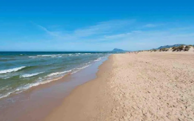 Blue Oliva Nova MET & Golf