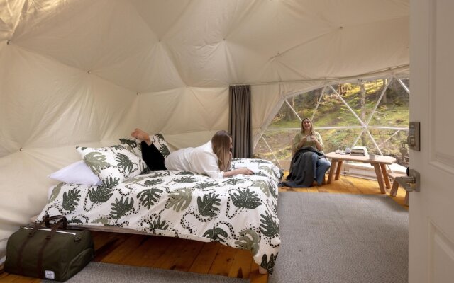 Stay Wilder - Adults Only