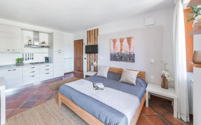 Albatros A5 lake view