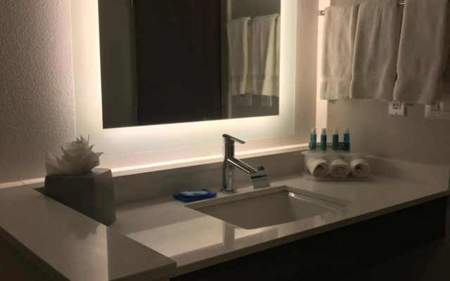 Holiday Inn Express & Suites Houston SW - Galleria Area by IHG