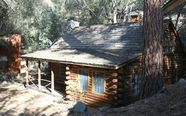 Log Cabin in the Woods with WiFi!