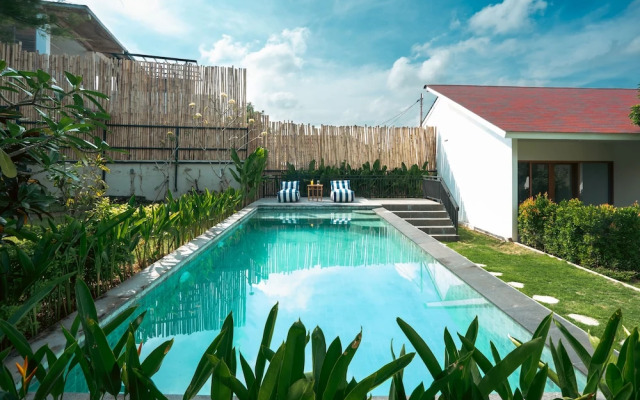 Zena Surf Suite