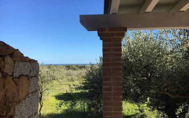 Sa Tanca De Mannoi
