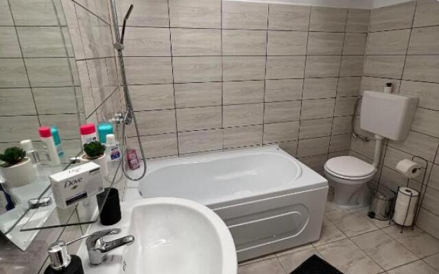 Apartament in regim hotelier King Medias