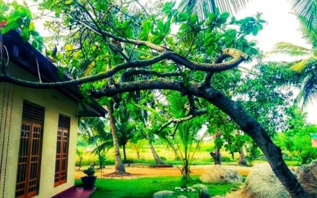 Green Sapphire Holiday Resort Wilpaththu
