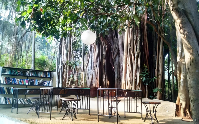 The Banyan Soul